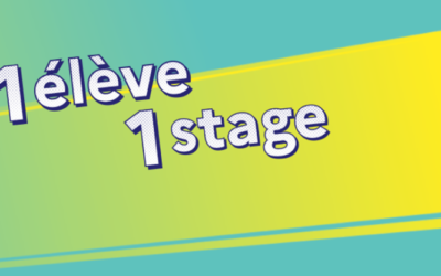 Trouver un stage avec la plateforme « 1élève1stage » !
